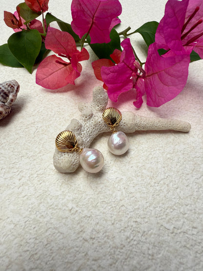 Gold shell dangle with large freshwater pearl